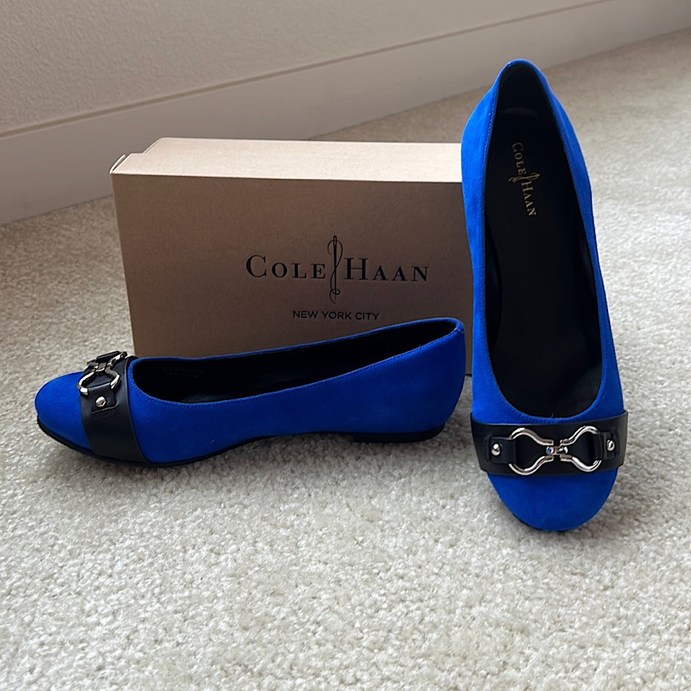 Cole Haan Size 7.5 Cobalt Blue Ballet Flats